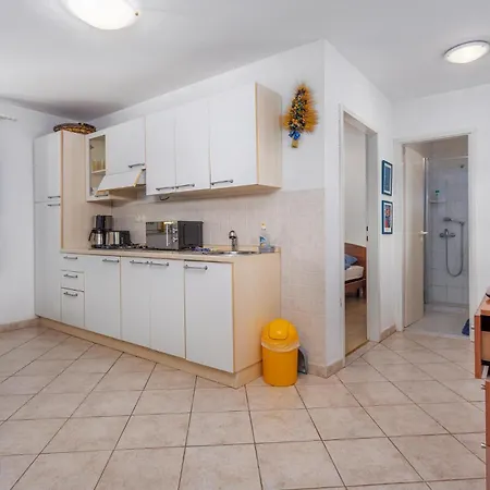 Apartment Pet Friendly In With Kitchen *